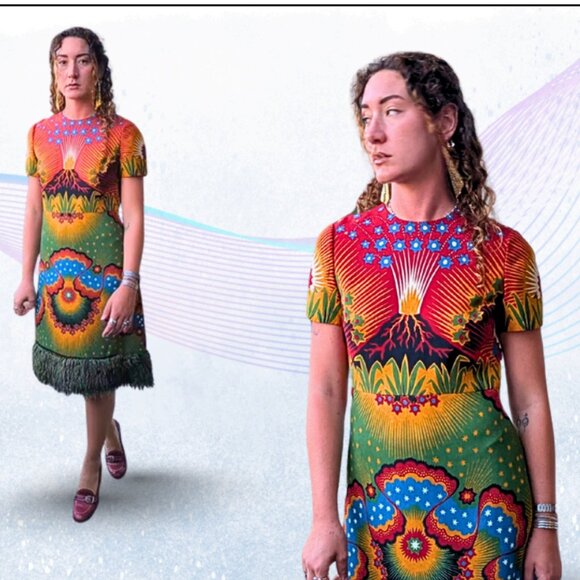 Valentino Volcano Dress 2016 Runway Faux Fur Hem US Size 8 - Picture 1 of 5